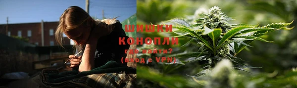 стаф Богданович