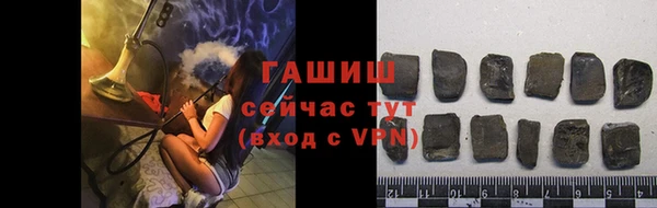 стаф Богданович