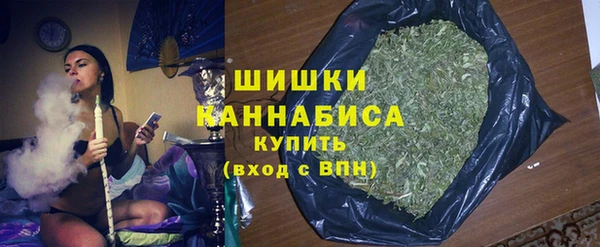 стаф Богданович