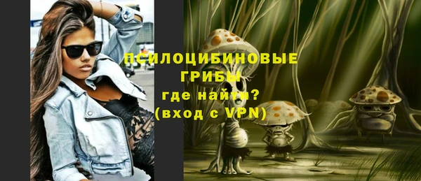 гашик Богородск
