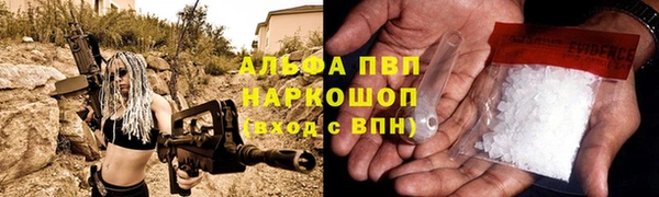 стаф Богданович