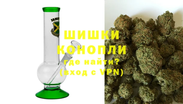 стаф Богданович