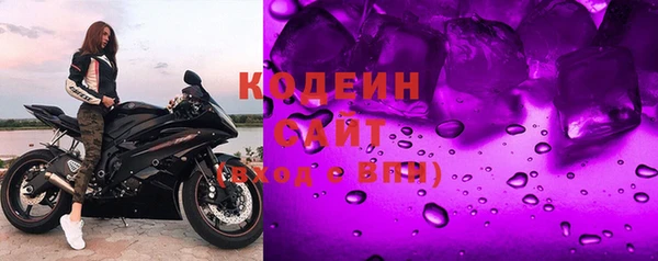 стаф Богданович