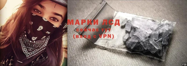 стаф Богданович