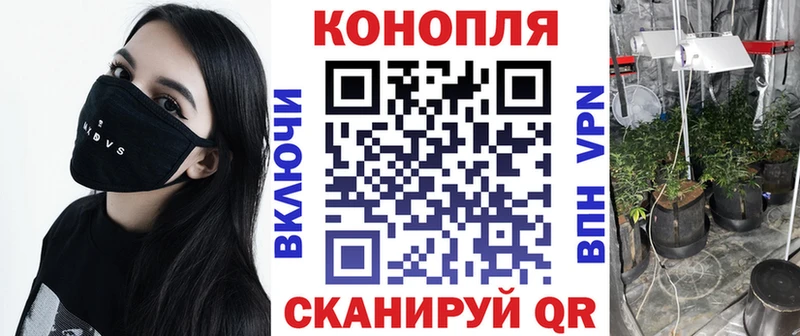 Конопля планчик  omg ONION  Ковдор 